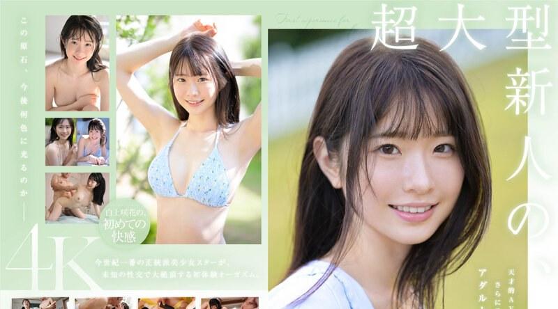 SONE-219 | 白上咲花 | 超大型新人 白上咲花の、初体験3本番。天才的AVアイドルが、人生初めて尽くしで、快楽に溺れる。