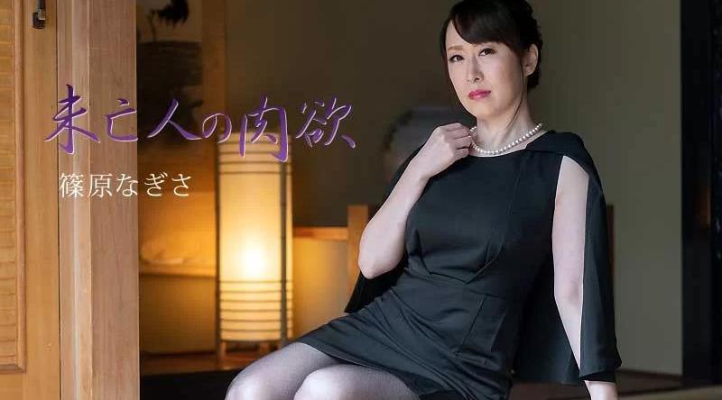 HEYZO-2511【无码流出】 寡妇的欲望 Vol.3