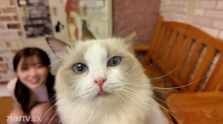 FC2-PPV-4511406 太可爱了超稀有日本猫咖啡馆