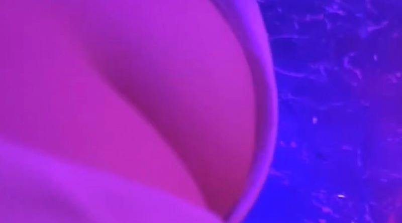 莎莎舞夜生活！性感舞娘火辣合集 热舞挑逗炸裂全场 完美诠释了夜生活的极致魅力！