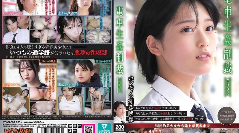 YDNS-003 | 電車生姦制裁 ＃003